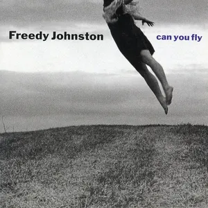 Can you fly